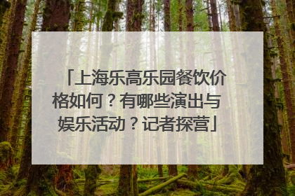 上海乐高乐园餐饮价格如何？有哪些演出与娱乐活动？记者探营