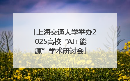 上海交通大学举办2025高校“AI+能源”学术研讨会