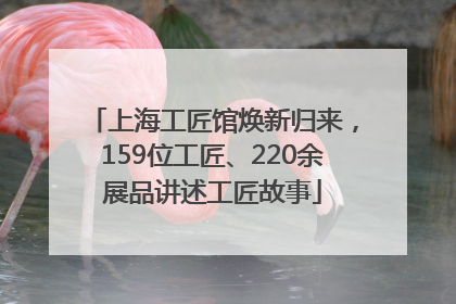 上海工匠馆焕新归来，159位工匠、220余展品讲述工匠故事