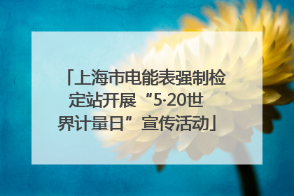 上海市电能表强制检定站开展“5·20世界计量日”宣传活动