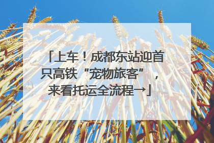 上车！成都东站迎首只高铁“宠物旅客”，来看托运全流程→