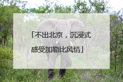 不出北京，沉浸式感受加勒比风情