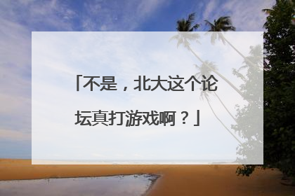不是，北大这个论坛真打游戏啊？