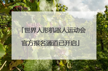 世界人形机器人运动会官方报名通道已开启