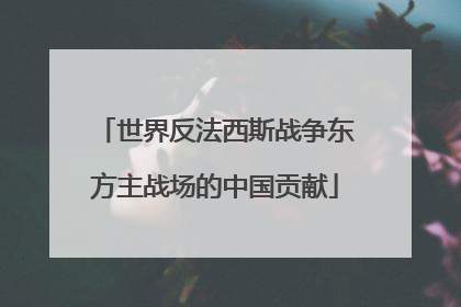 世界反法西斯战争东方主战场的中国贡献