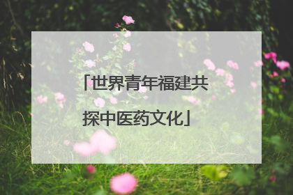 世界青年福建共探中医药文化