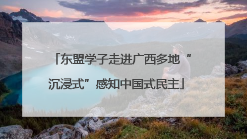 东盟学子走进广西多地“沉浸式”感知中国式民主