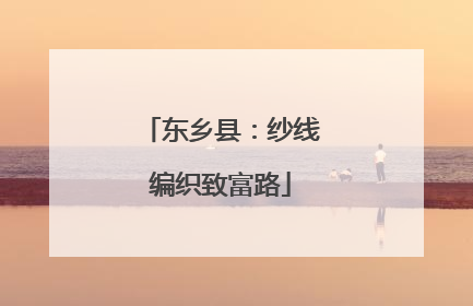 东乡县：纱线编织致富路