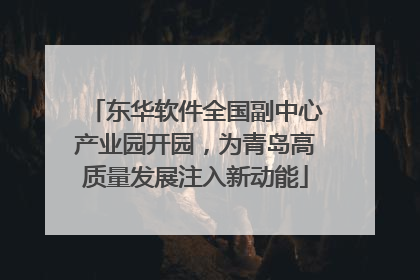 东华软件全国副中心产业园开园，为青岛高质量发展注入新动能