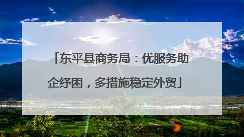 东平县商务局：优服务助企纾困，多措施稳定外贸