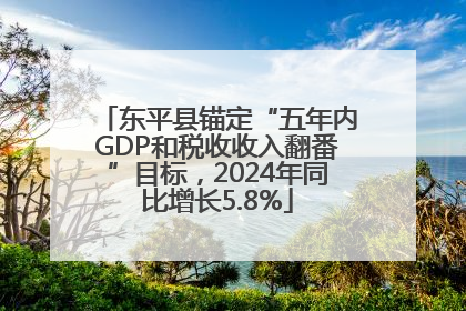 东平县锚定“五年内GDP和税收收入翻番”目标，2024年同比增长5.8%