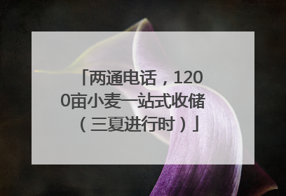 两通电话，1200亩小麦一站式收储（三夏进行时）