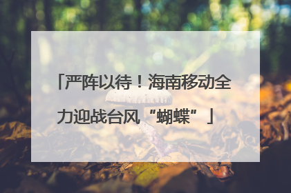 严阵以待！海南移动全力迎战台风“蝴蝶”