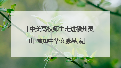 中美高校师生走进徽州灵山 感知中华文脉基底
