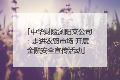 中华财险浏阳支公司：走进农贸市场 开展金融安全宣传活动