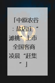 中原农谷：盐店庄“滩桃”上市 全国客商凌晨“赶集”