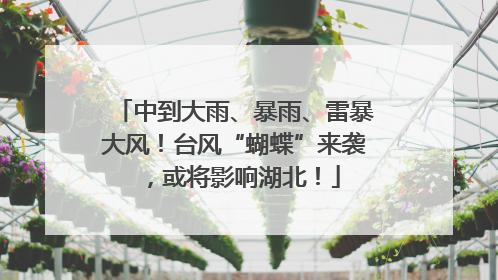 中到大雨、暴雨、雷暴大风！台风“蝴蝶”来袭，或将影响湖北！