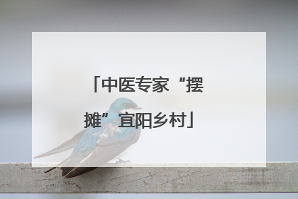 中医专家“摆摊”宜阳乡村