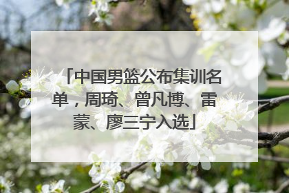 中国男篮公布集训名单，周琦、曾凡博、雷蒙、廖三宁入选