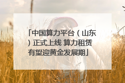 中国算力平台（山东）正式上线 算力租赁有望迎黄金发展期