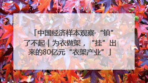 中国经济样本观察·“镇”了不起｜为衣做架，“挂”出来的80亿元“衣架产业”