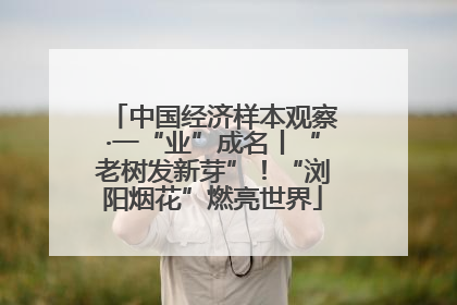 中国经济样本观察·一“业”成名丨“老树发新芽”！“浏阳烟花”燃亮世界