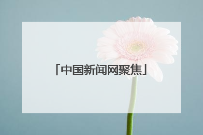 中国新闻网聚焦