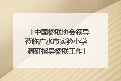 中国楹联协会领导莅临广水市实验小学调研指导楹联工作