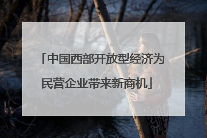 中国西部开放型经济为民营企业带来新商机