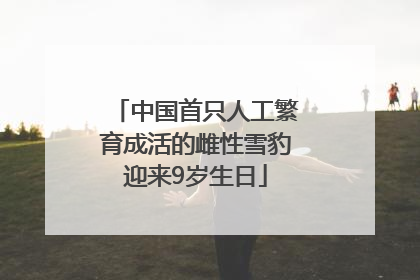 中国首只人工繁育成活的雌性雪豹迎来9岁生日