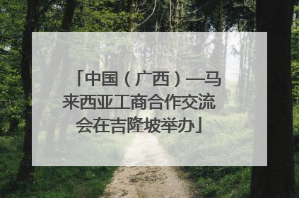 中国（广西）—马来西亚工商合作交流会在吉隆坡举办