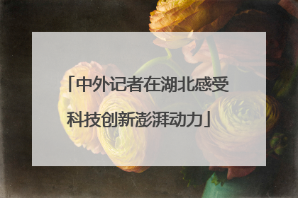 中外记者在湖北感受科技创新澎湃动力