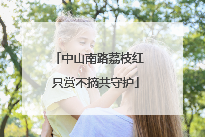 中山南路荔枝红 只赏不摘共守护