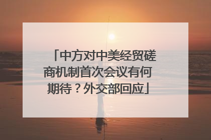中方对中美经贸磋商机制首次会议有何期待？外交部回应