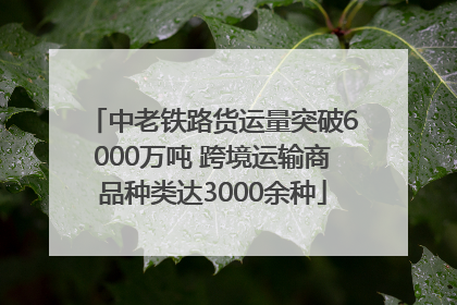 中老铁路货运量突破6000万吨 跨境运输商品种类达3000余种