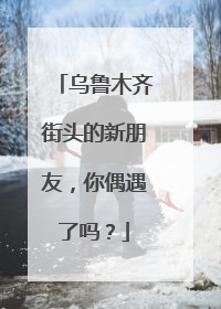 乌鲁木齐街头的新朋友，你偶遇了吗？