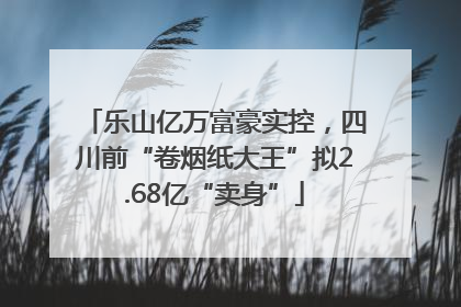 乐山亿万富豪实控，四川前“卷烟纸大王”拟2.68亿“卖身”