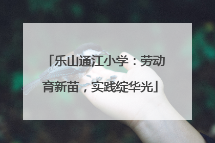 乐山通江小学：劳动育新苗，实践绽华光