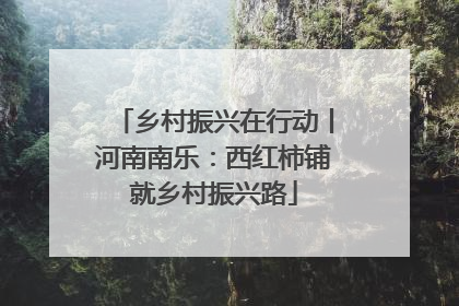 乡村振兴在行动丨河南南乐：西红柿铺就乡村振兴路