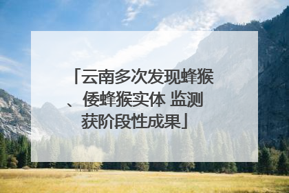 云南多次发现蜂猴、倭蜂猴实体 监测获阶段性成果