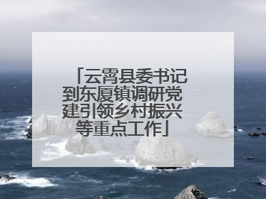 云霄县委书记到东厦镇调研党建引领乡村振兴等重点工作