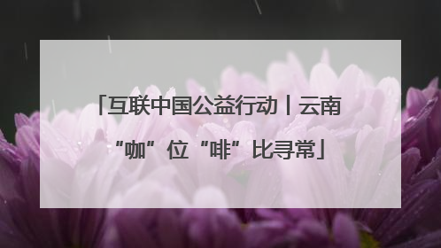 互联中国公益行动丨云南“咖”位“啡”比寻常