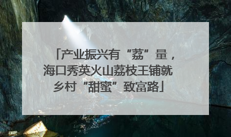 产业振兴有“荔”量，海口秀英火山荔枝王铺就乡村“甜蜜”致富路