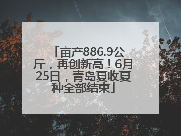 亩产886.9公斤，再创新高！6月25日，青岛夏收夏种全部结束