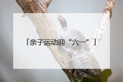 亲子运动迎“六一”