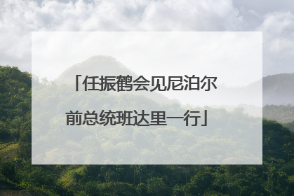任振鹤会见尼泊尔前总统班达里一行