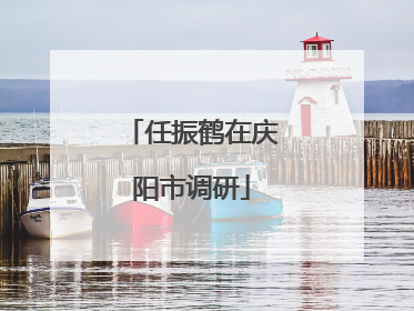 任振鹤在庆阳市调研