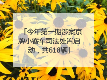 今年第一期涉案京牌小客车司法处置启动，共618辆