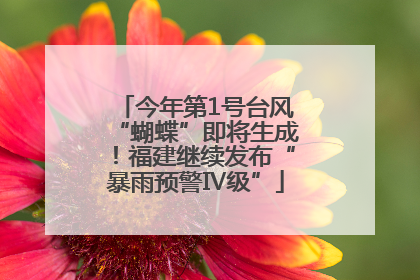 今年第1号台风“蝴蝶”即将生成！福建继续发布“暴雨预警Ⅳ级”