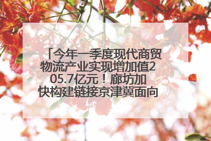 今年一季度现代商贸物流产业实现增加值205.7亿元！廊坊加快构建链接京津冀面向全世界的物流通道